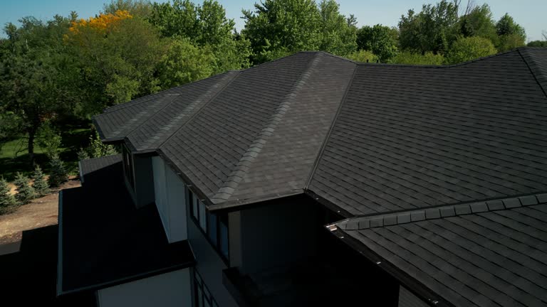 Best Chimney Flashing Repair  in Lake Catherine, IL
