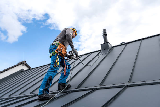 Best Metal Roofing Installation  in Lake Catherine, IL