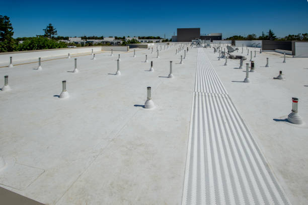 Best Roof Ventilation Installation  in Lake Catherine, IL