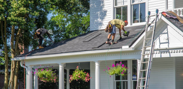Best Green or Eco-Friendly Roofing Solutions  in Lake Catherine, IL